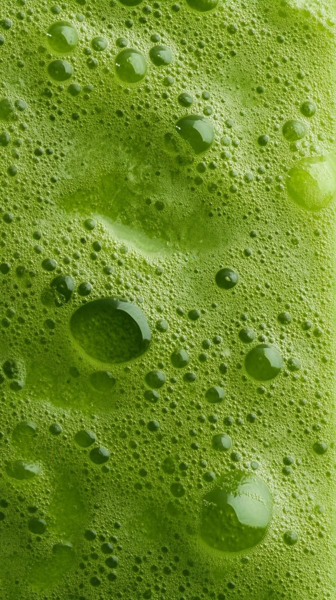 Chlorella